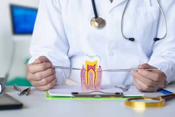 Best Dentist for Tooth Abscess  in Worthington, MN
